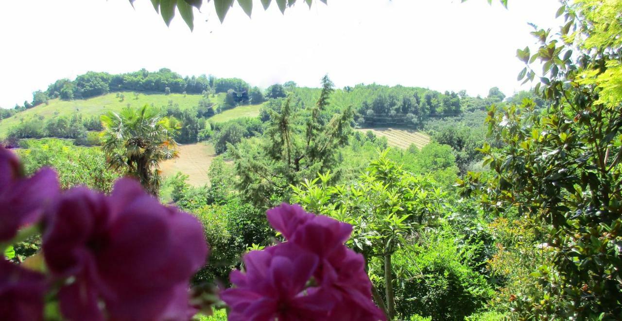 B&B Carboni Penna San Giovanni エクステリア 写真