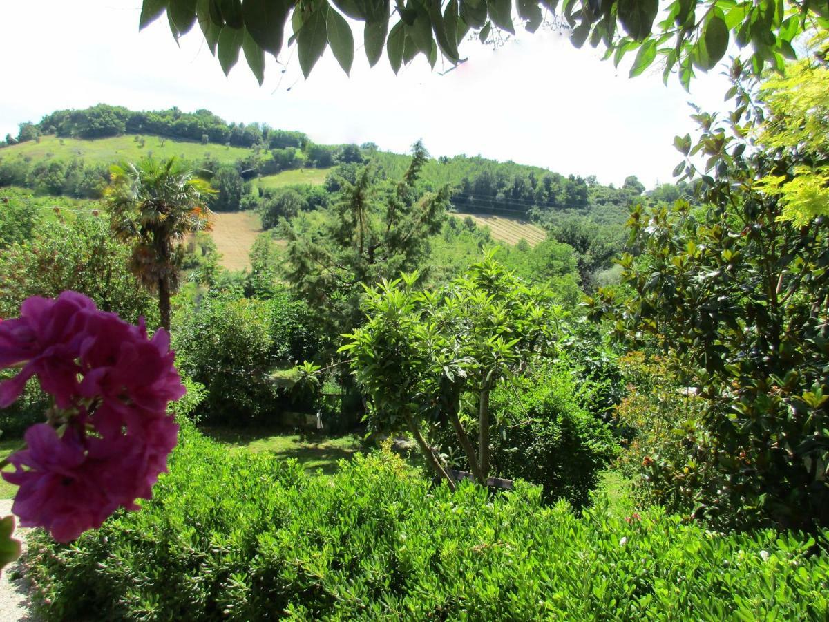 B&B Carboni Penna San Giovanni エクステリア 写真
