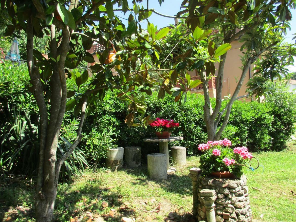 B&B Carboni Penna San Giovanni エクステリア 写真